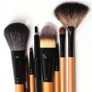 Beauty Cosmetic Makeup 10pcs Brushes Set Kit With..