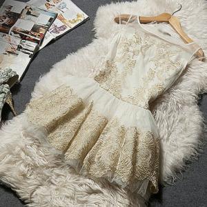 Gold Thread Embroidery Flared Mesh Tank Dress..